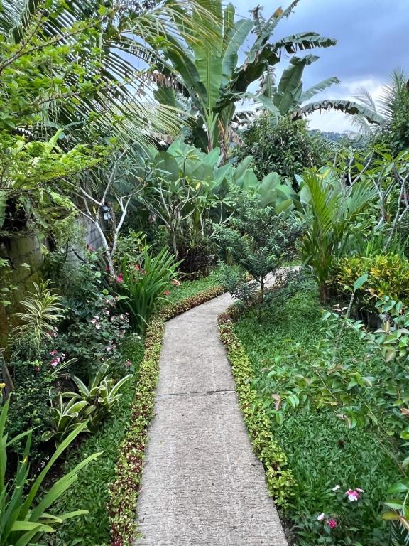 Buntera Homestay Sidemen - 9