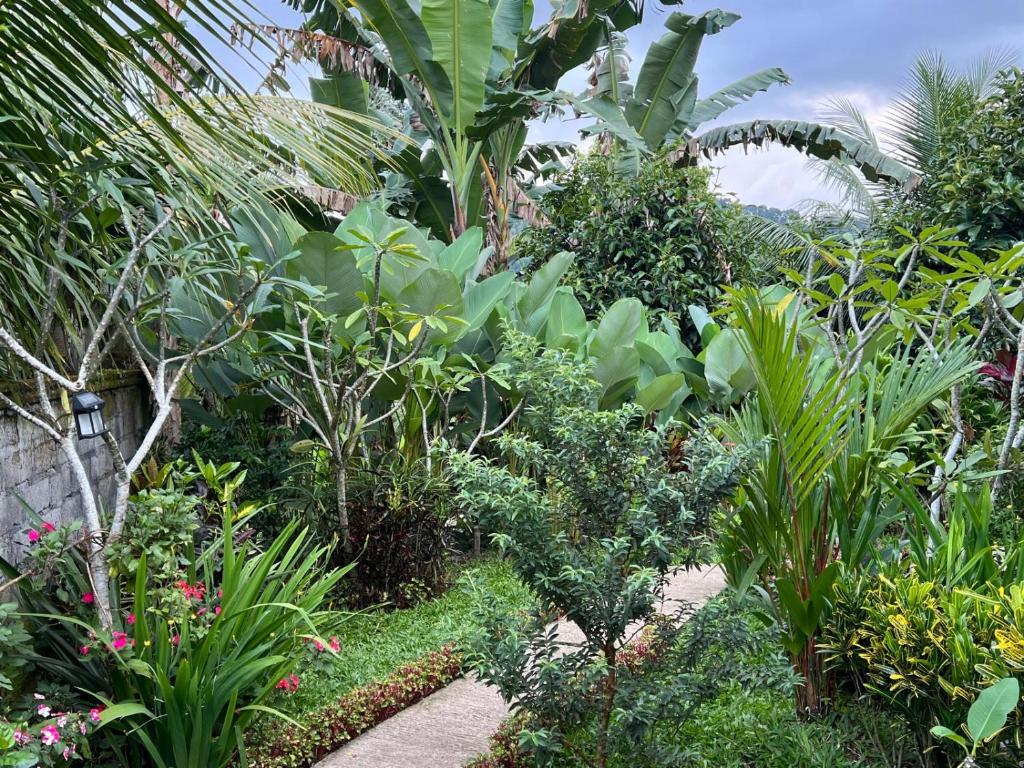 Buntera Homestay Sidemen - 5