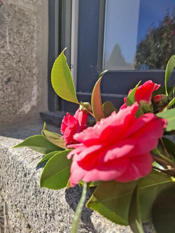 Jardin de l'établissement Gite Mont Saint Michel Chez Pépé Lucien