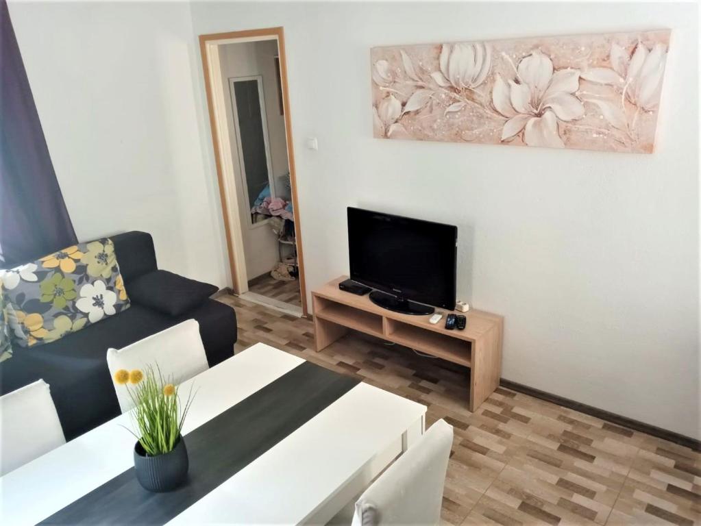 Televízia a/alebo spoločenská miestnosť v ubytovaní Apartment Karlito