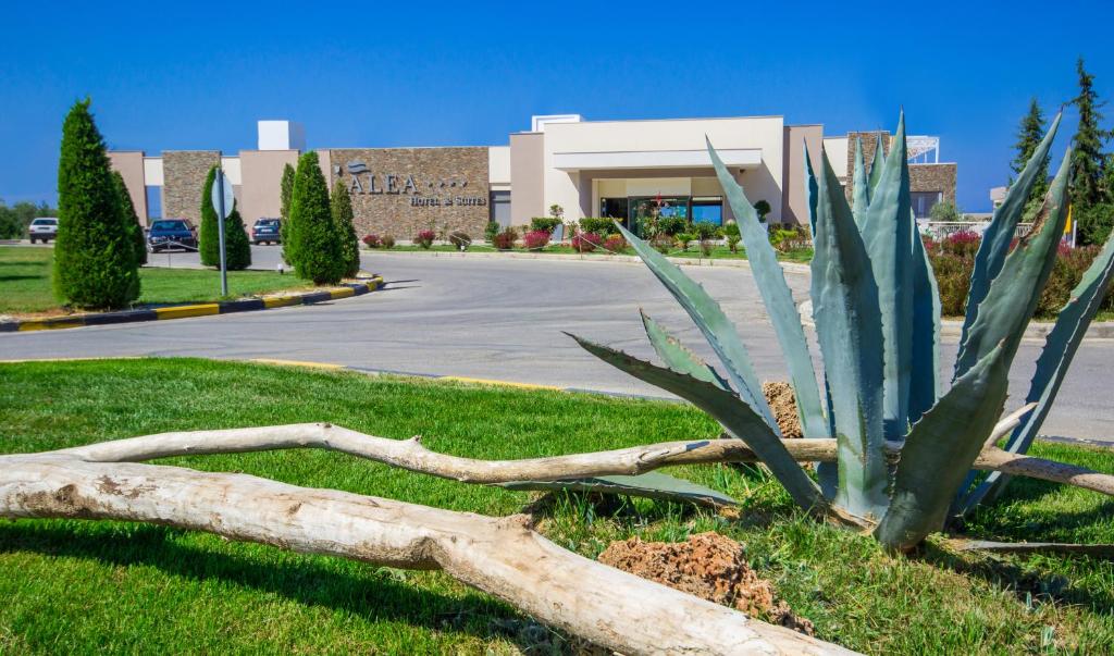 Zahrada ubytování ALEA Hotel & Suites