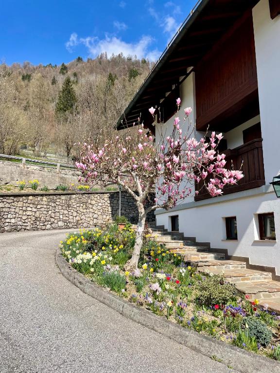 Zahrada ubytování Cà Borghetto