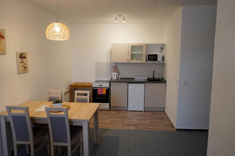Kuchyň nebo kuchyňský kout v ubytování Letní Apartmány Nežárka