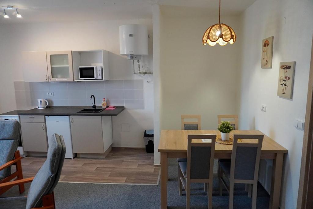 Kuchyň nebo kuchyňský kout v ubytování Letní Apartmány Nežárka