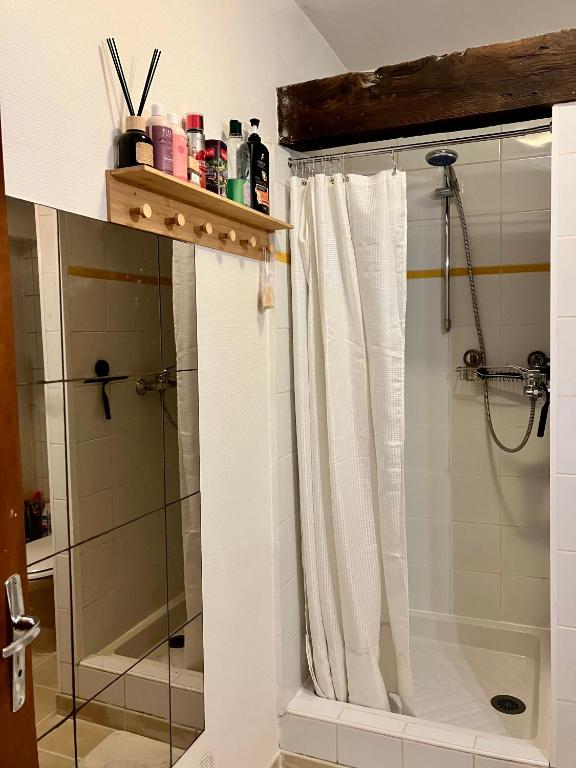 a bathroom with a shower with a shower curtain at Paloma in Figeac