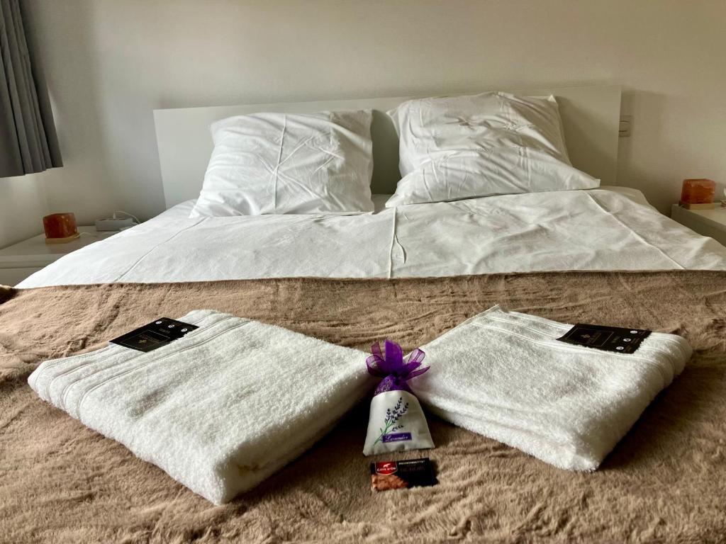 a bed with two towels on top of it at Paloma in Figeac