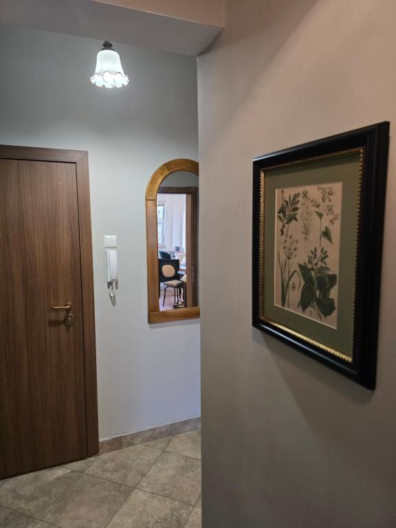 een hal met een foto aan de muur en een spiegel bij Cozy Suite Vitosha street Center in Sofia