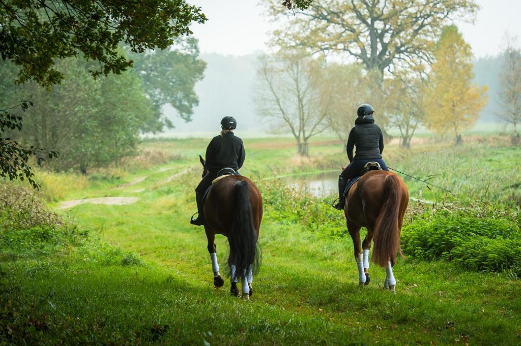 Tiere im Hotel oder in der Nähe