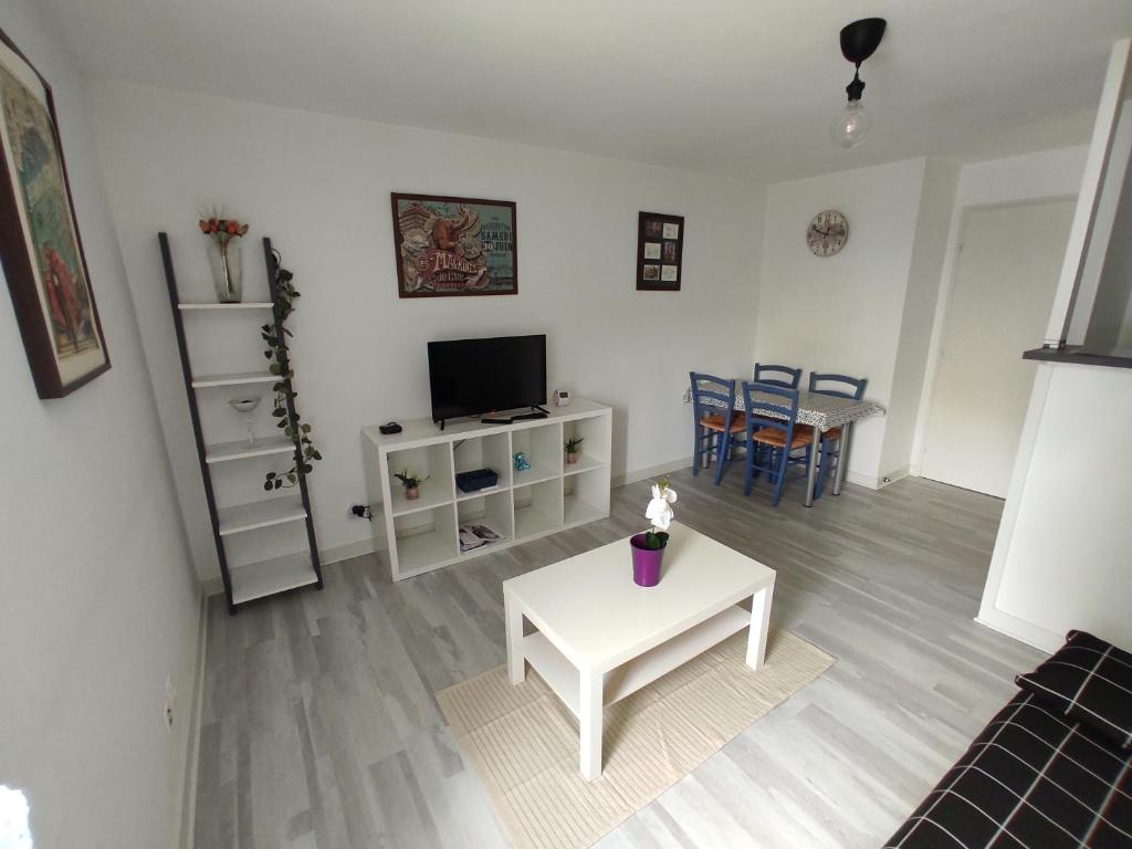 a living room with a couch and a table and a tv at Appartement des machines in Nantes