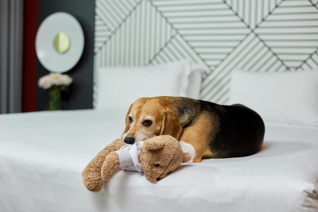 Quark Hotel Milano - Resim 45