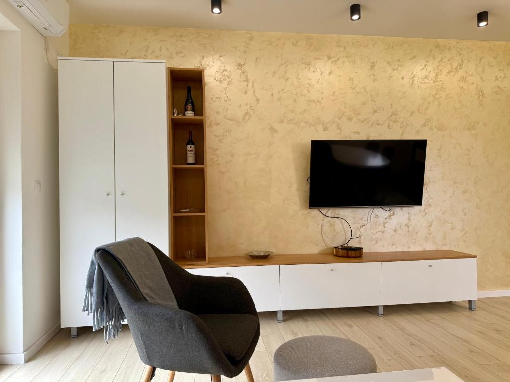 TV a/nebo společenská místnost v ubytování Cvetkovic apartman