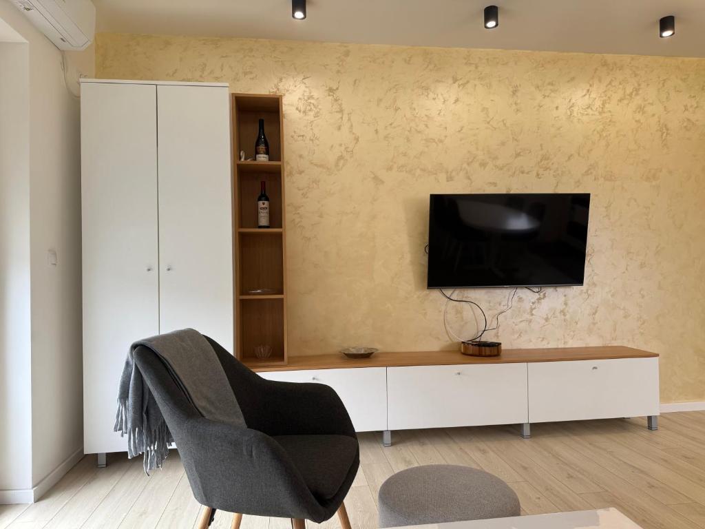 TV a/nebo společenská místnost v ubytování Cvetkovic apartman
