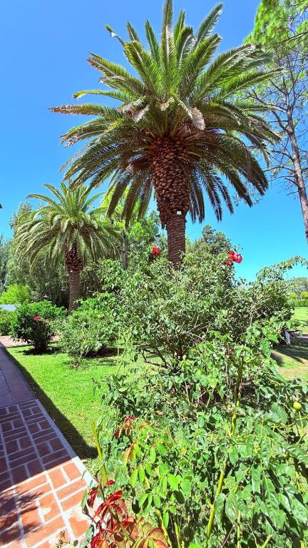 Hotel Boutique El Eden