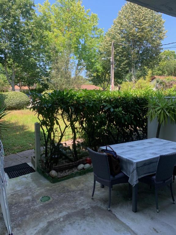 une table et deux chaises assises à côté d'une haie dans l'établissement Studio lumineux avec terrasse, à Arcachon
