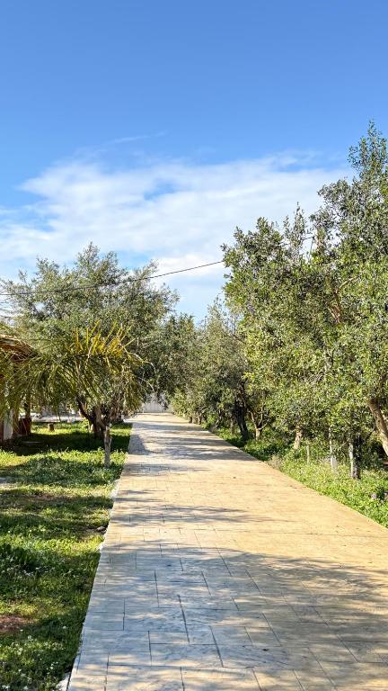 a long road with trees on both sides of it at Rida Village Ksamil Island in Ksamil