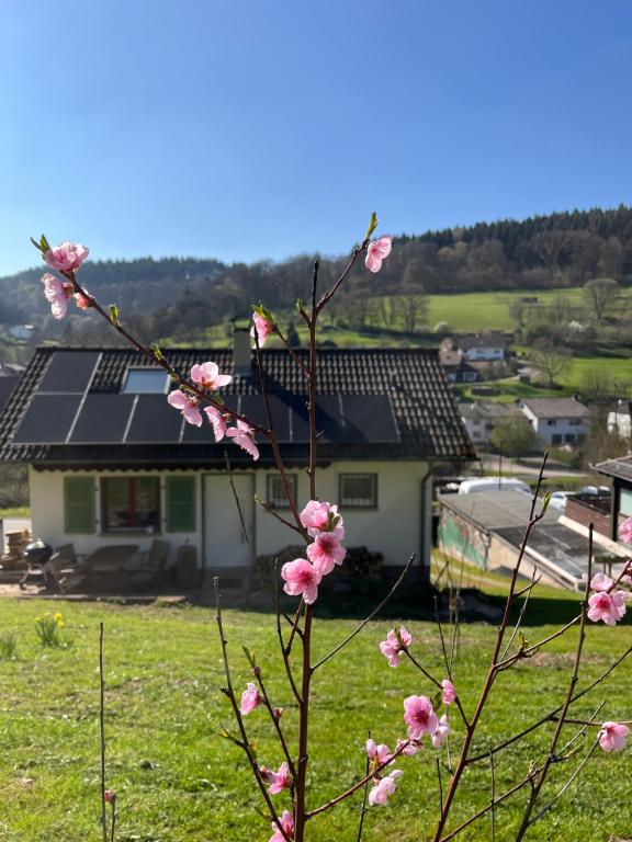 a tree with pink flowers in front of a house at Ferienhäusel Allemühl in Schönbrunn
