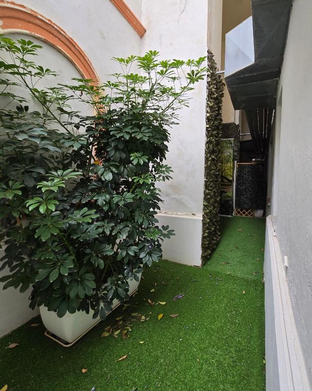 Hotel Il Nido Sorrento - 17