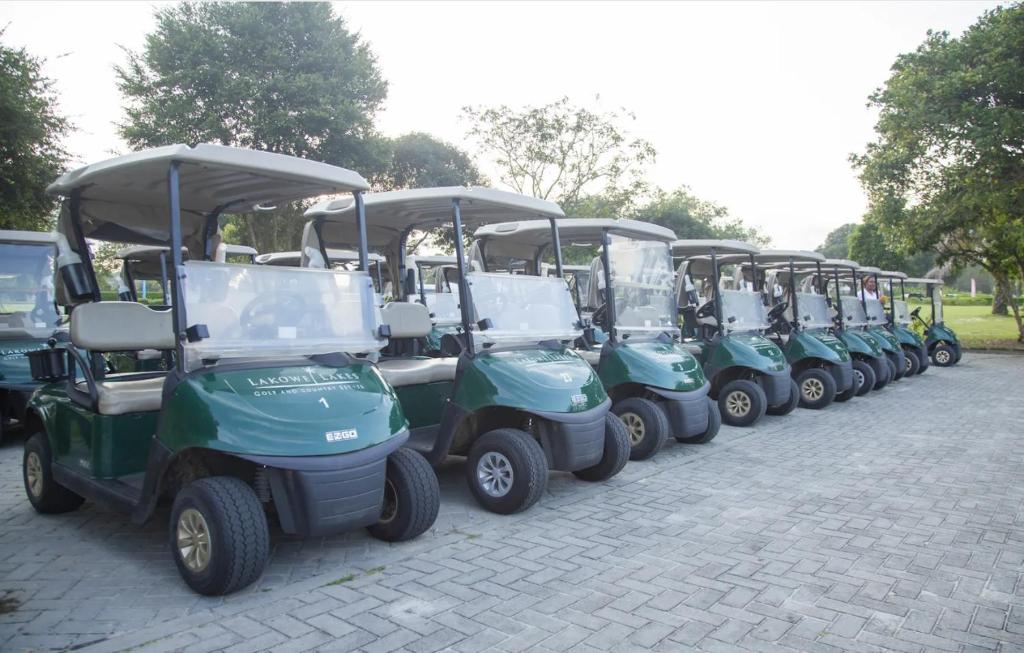 Golf v apartmánu nebo okolí