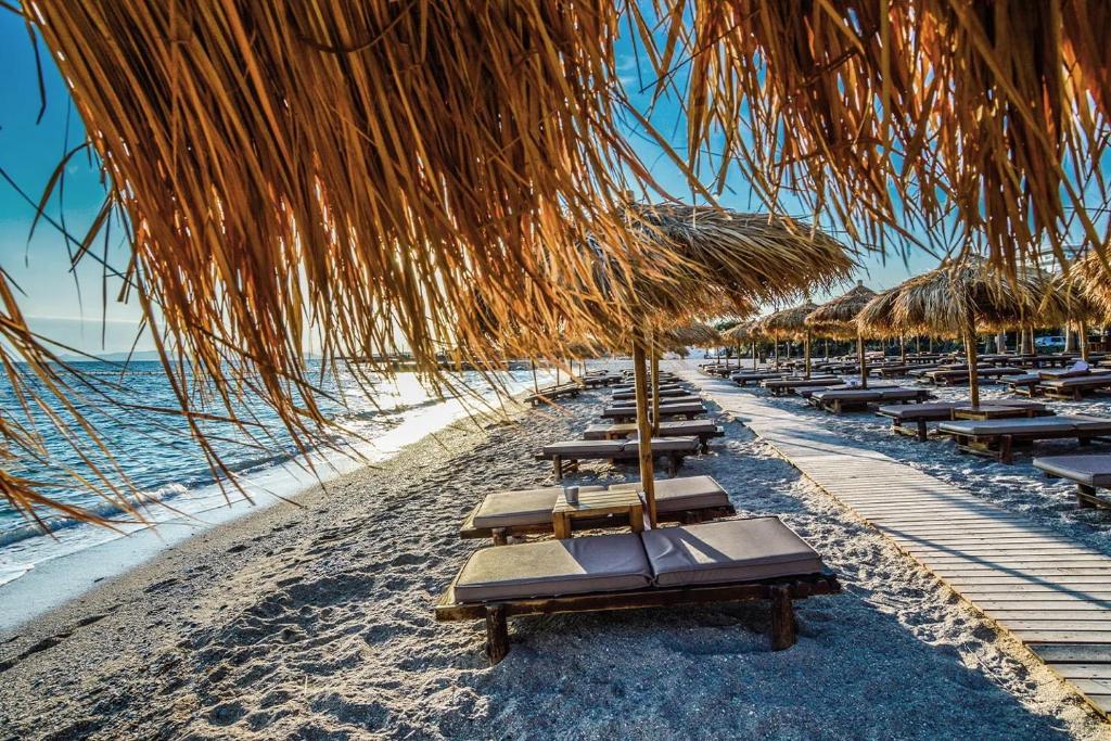 Xcite Hotel Salem - Resim 25