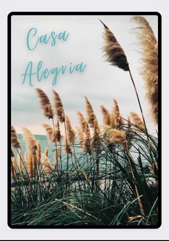 une photo d'une grande pelouse devant l'océan dans l'établissement Casa Alegria, à Portel-des-Corbières