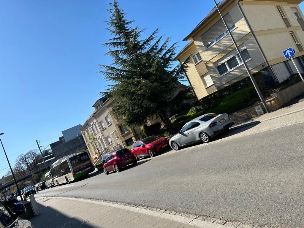 Okolí kapslového hotelu