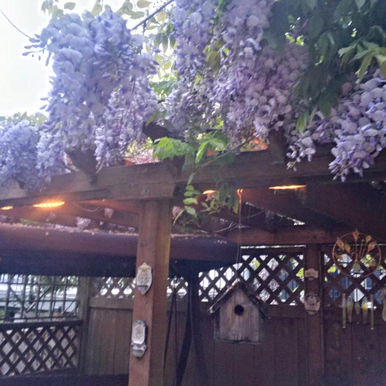 Zahrada ubytování Simply Suite - Sua Casa Longe de Casa