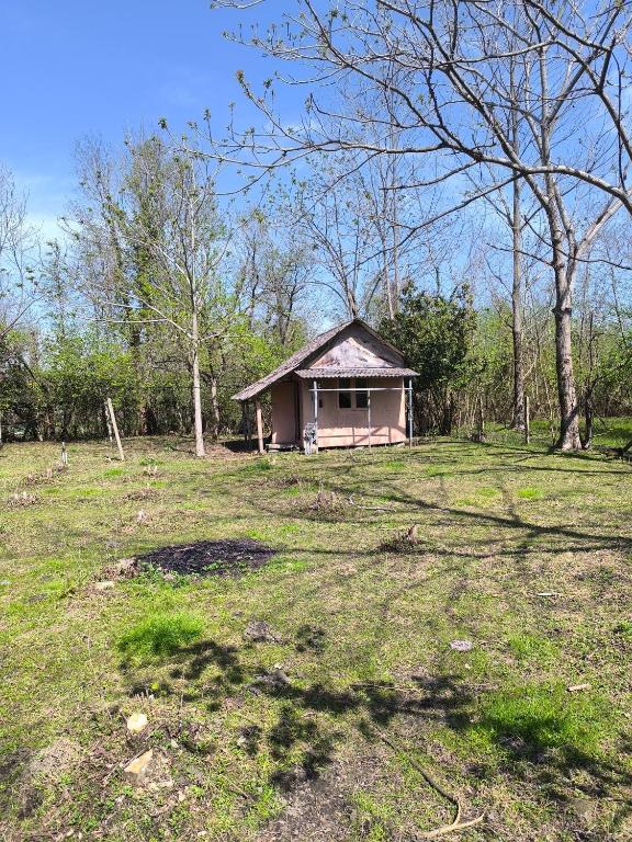 O grădină în afara Lemon Tree Camp