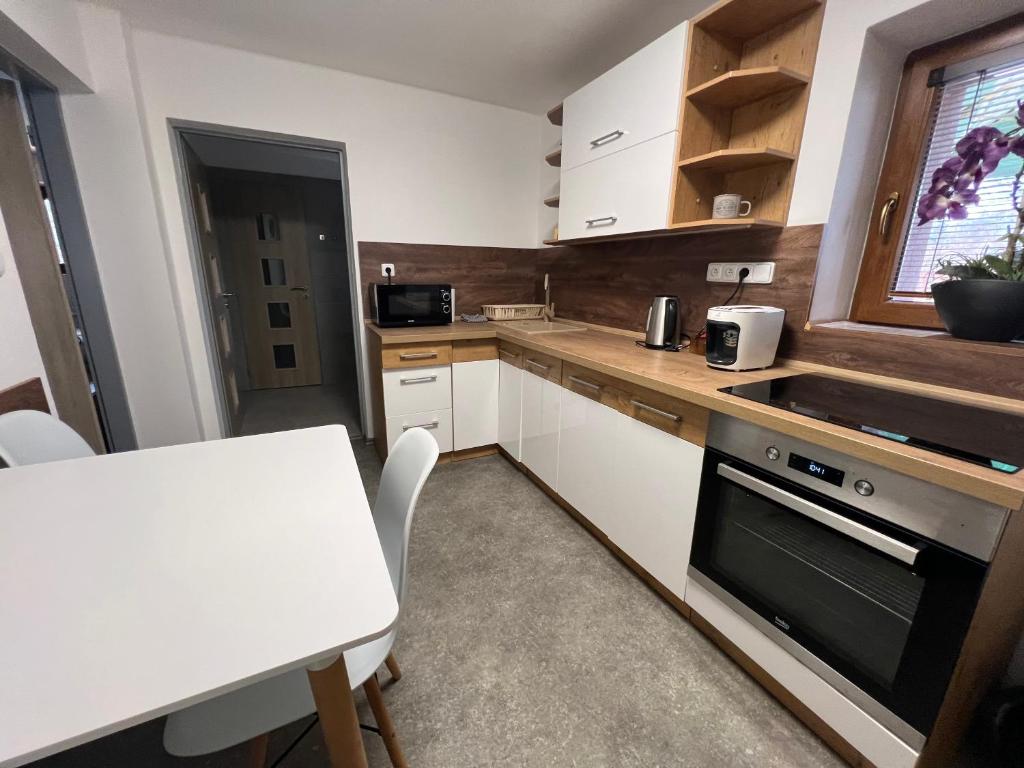 Kuchyň nebo kuchyňský kout v ubytování Apartmány Pod Řípem