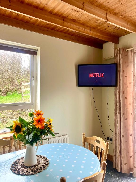 TV a/nebo společenská místnost v ubytování Hill View House