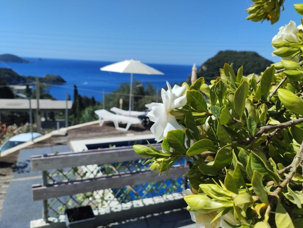 Príroda v okolí of the bed and breakfast