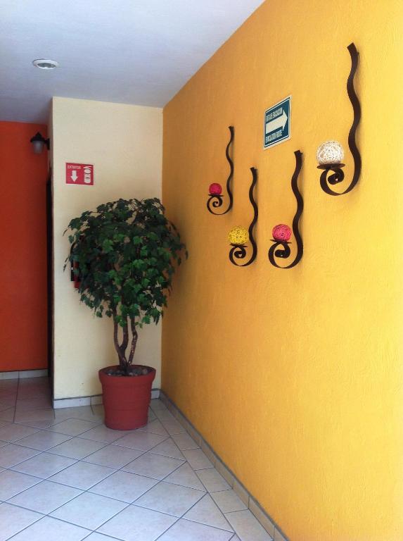 Fotografie z fotogalerie ubytování Plaza Jardin v destinaci Tequila