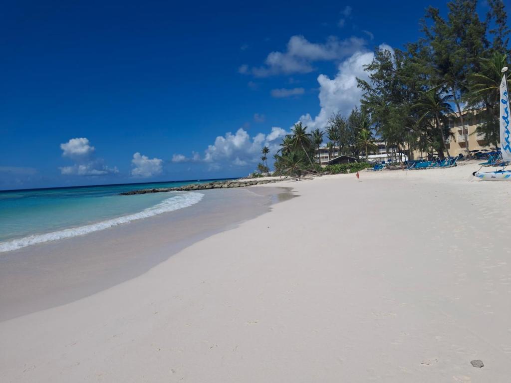 a white beach with palm trees and the ocean at BLR Villas Dover Beach in Christ Church