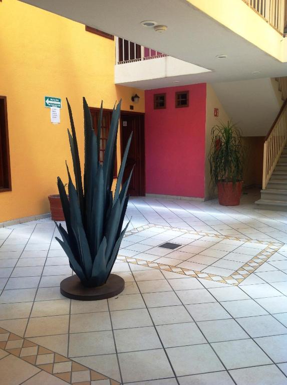 Fotografie z fotogalerie ubytování Plaza Jardin v destinaci Tequila