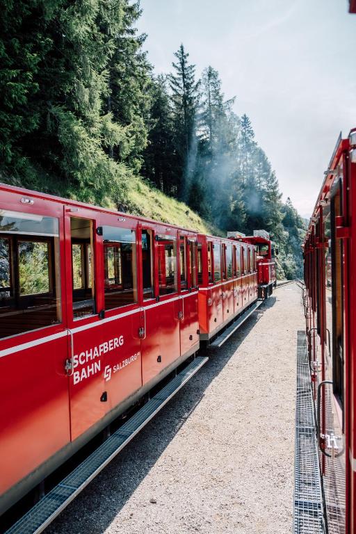Fotografie z fotogalerie ubytování dorfwerfen137 v destinaci Pfarrwerfen