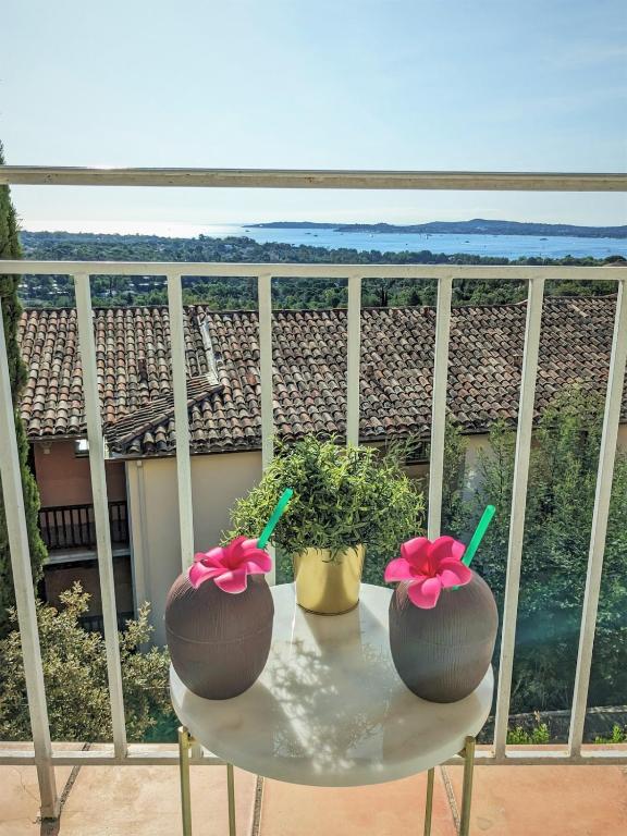 deux plantes sur une table sur un balcon dans l'établissement Vue mer et clim Les Magnolias 4006, à Grimaud