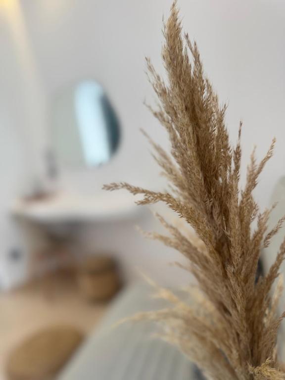 Fotografie z fotogalerie ubytování Eleni's Rooms v destinaci Antiparos