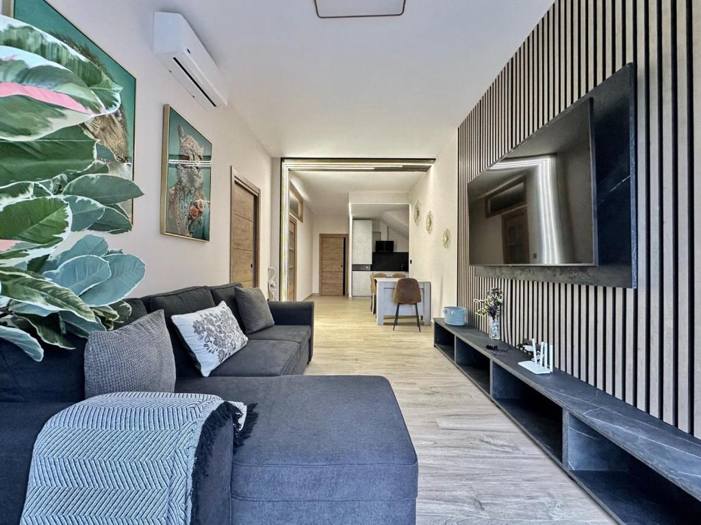 TV a/nebo společenská místnost v ubytování Flower Deluxe Bajo 2 Dormitorios 6085