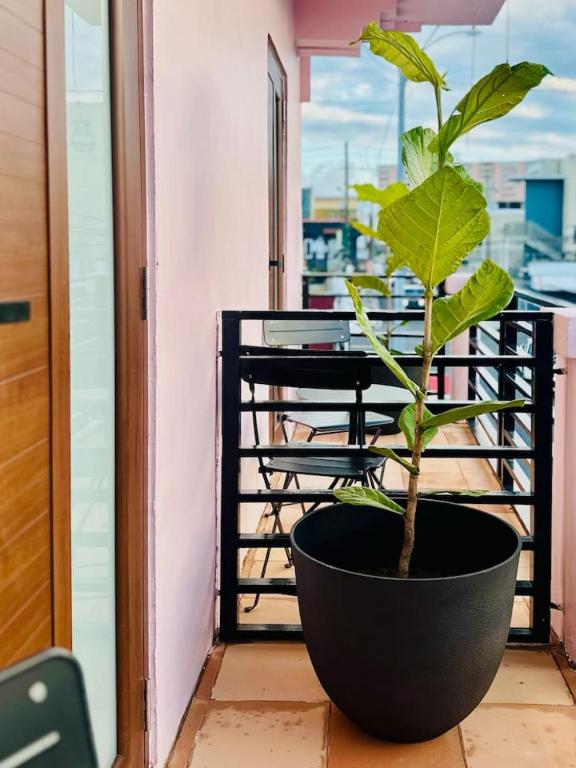 Fotografie z fotogalerie ubytování Room 11 Balcony Bliss in Creative Santurce v destinaci San Juan