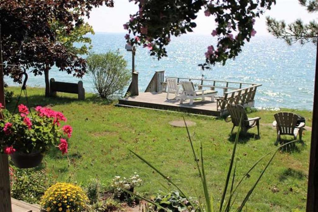 a garden with chairs and the ocean in the background at Cute and Cozy Lakefront Cottage in Wellington