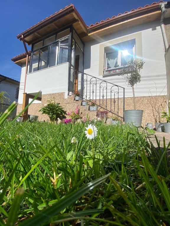 a house with a window and a flower in the grass at El Hogarin de Veronica in Gijón
