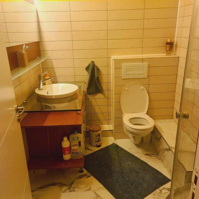 A&C appartement 5mn Basel Airport – photo 3