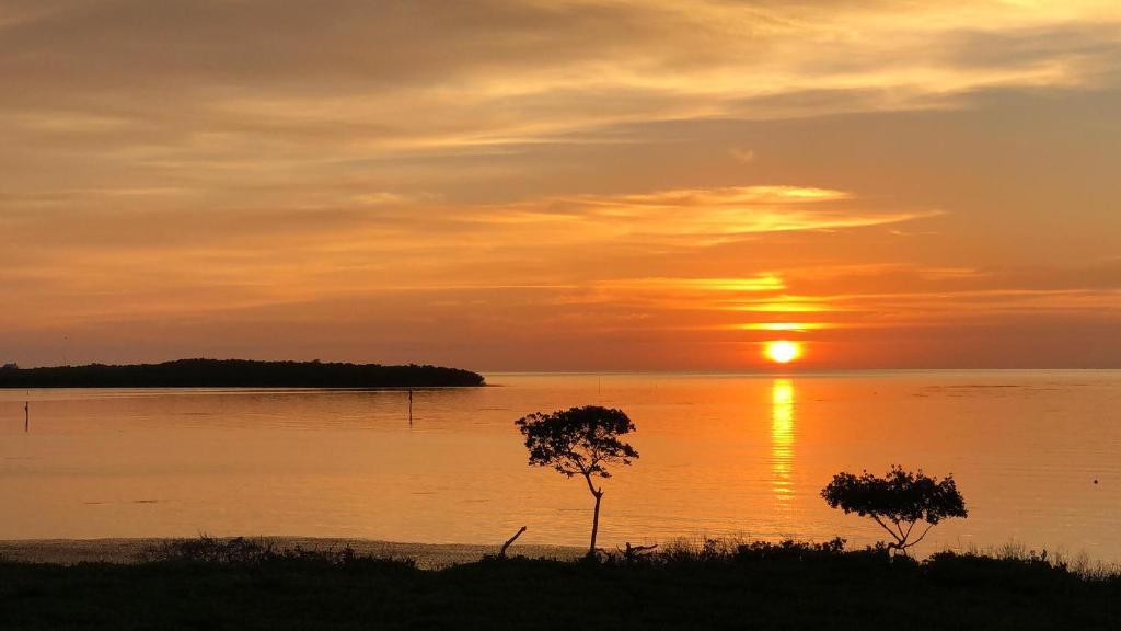 キーラーゴにある525 Mariners Clubの二本の木を持つ水上の夕日
