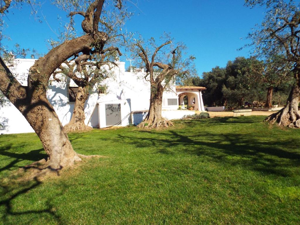 Vrt pred nastanitvijo masseria LAMA DI GALIZIA
