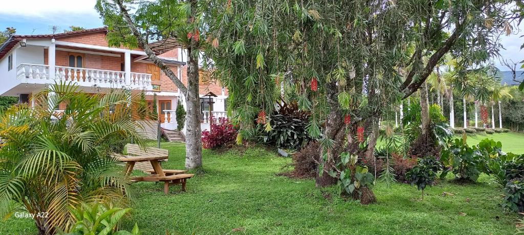 En have udenfor Finca Villla las Palmas