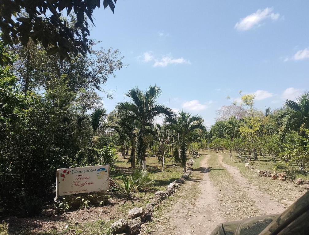 Apartment in Finca Mayfran