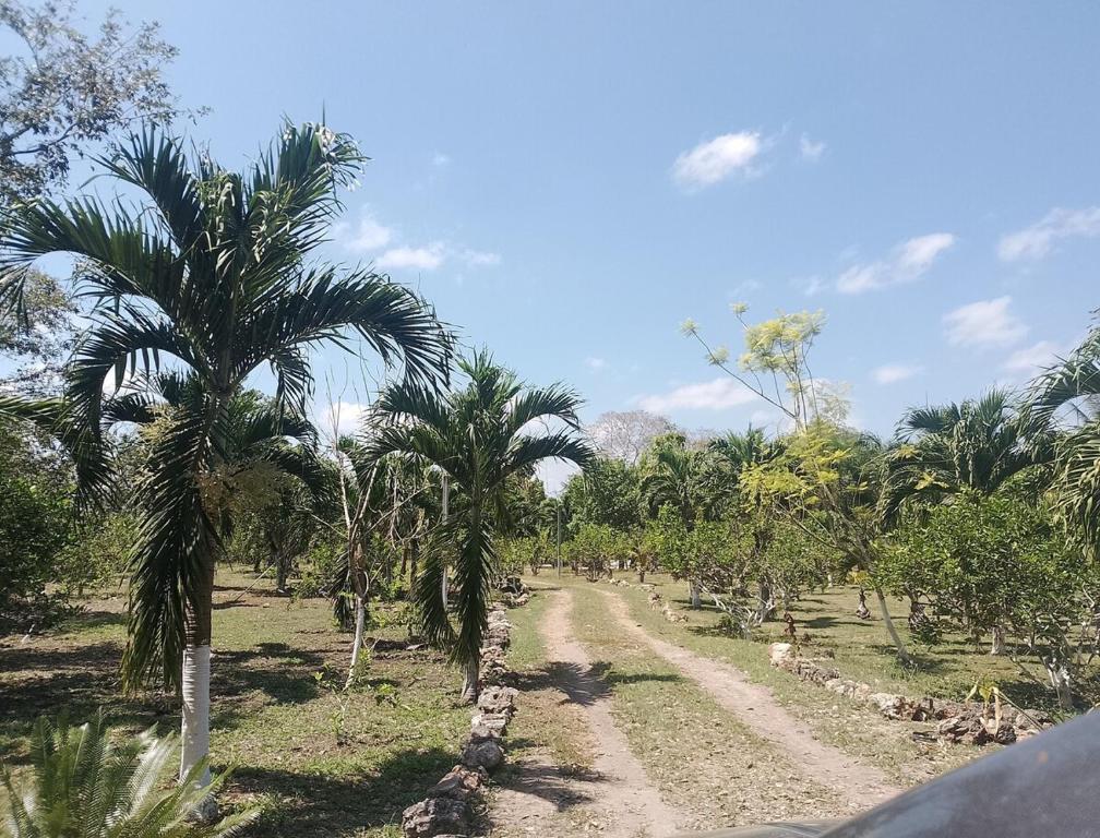 Apartment in Finca Mayfran