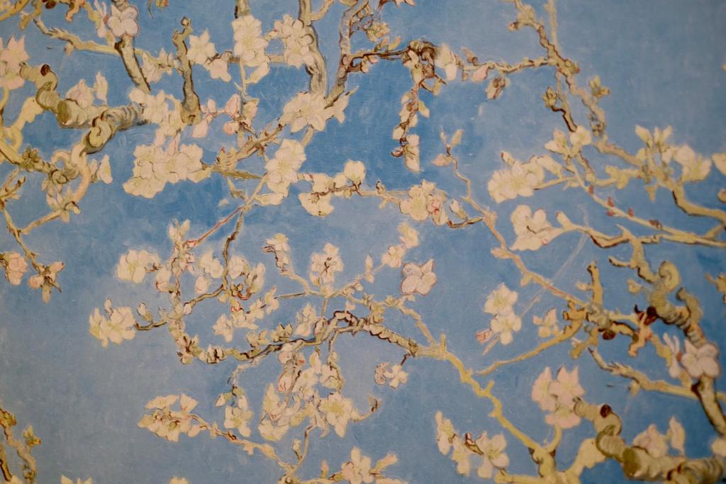 Fotografie z fotogalerie ubytování 桜modern 本町駅2分心斎橋10分 5名宿泊可能 v Osace
