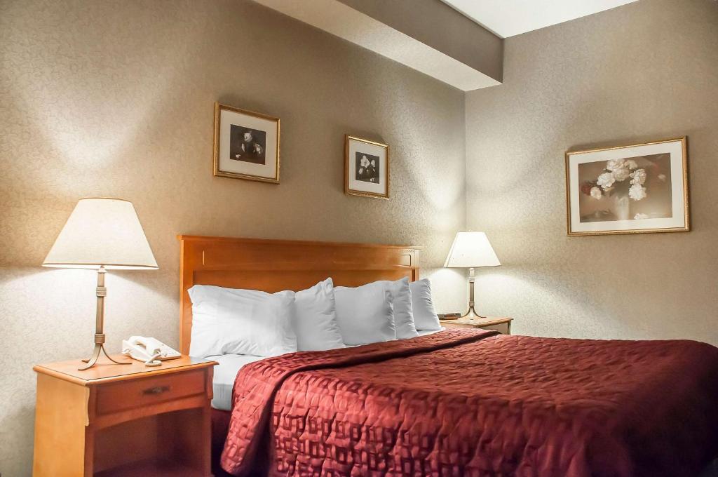 Comfort Inn Lundy's Lane - Resim 18