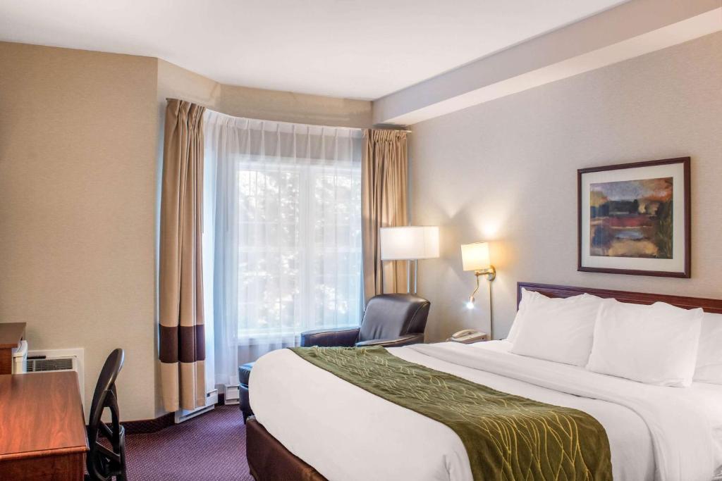 Comfort Inn - Resim 31