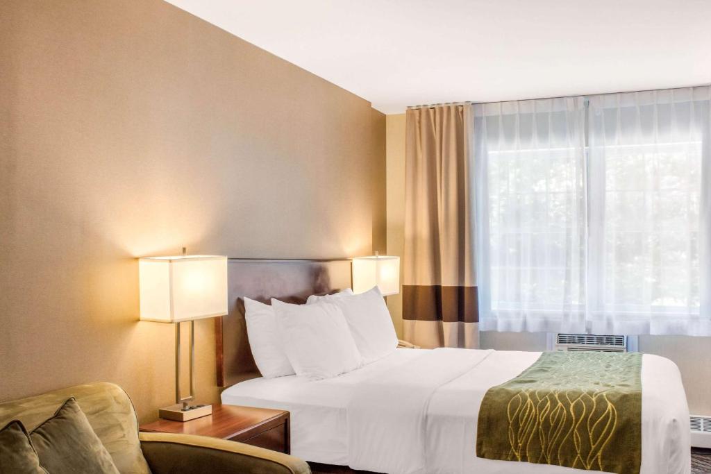 Comfort Inn - Resim 32